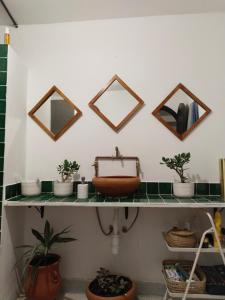 uma casa de banho com uma prateleira com plantas e espelhos em Dar Gara em Tânger