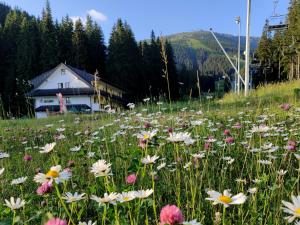 a field of flowers in front of a house at Apartmány Biela Púť - Jasná nr. 12 in Demanovska Dolina