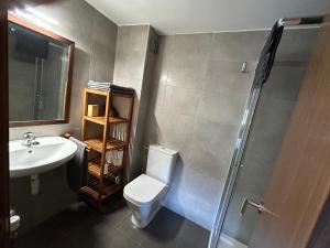 e bagno con servizi igienici, lavandino e doccia. di Acogedor apartamento en La Molina a La Molina