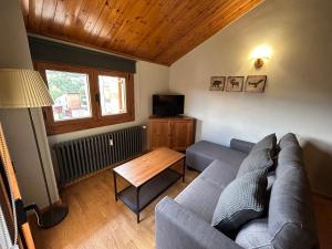 TV a/nebo společenská místnost v ubytování Acogedor apartamento en La Molina