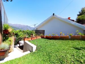 a backyard with a lawn and a house at Gerês e Cabreira - Romoa Vintage Guest House in Vieira do Minho