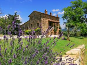A garden outside Villa Acadirospi