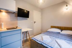 um quarto com uma cama, uma secretária e uma televisão em Apartamenty,pokoje Paholski em Zubrzyca Górna