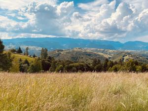 ペシュテラにあるAmont Chaletの山を背景にした草原