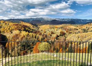 a view of a mountain valley with fall foliage at Amont Chalet in Peştera