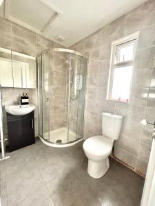 a bathroom with a toilet and a shower and a sink at Ocean View Apartment - Connemara in Galway