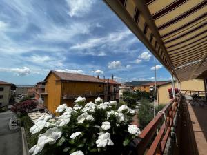 Banda białych kwiatów siedzących na balkonie w obiekcie Appartamento Panoramico su Lago w mieście Trevignano Romano