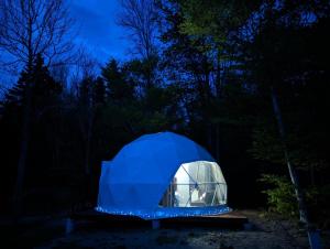 a blue tent in the woods at night at Fundy Spray Campground in Smiths Cove