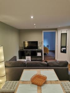 sala de estar con sofá y TV de pantalla plana en Apartment Viola, en Meiningen