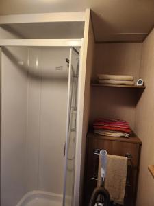 eine Dusche mit Glastür im Badezimmer in der Unterkunft Woods caravan in Ingoldmells