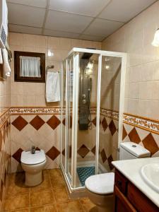 a bathroom with a shower and a toilet and a sink at Hostal Plaza in Segovia +76 photos
