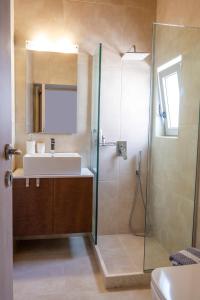 ein Bad mit einem Waschbecken und einer Dusche in der Unterkunft Klelia's Apartments in Palekastro