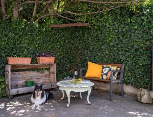 A garden outside Uruñuela, un jardín entre viñedos en La Rioja by encasadeainhoa