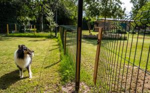 Uruñuela, un jardín entre viñedos en La Rioja by encasadeainhoa kisállat-vendégei