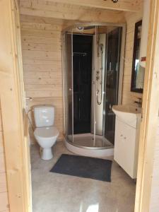 a bathroom with a shower and a toilet and a sink at Jootme-Andruse Puhkemaja in Kuressaare