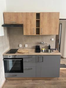 a kitchen with a sink and a stove at Černá růže - Apartmán 3 in Plzeň