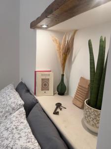 a room with a bed and a box and cactus at Casa Zizì in Locorotondo
