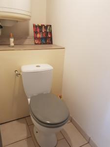 a bathroom with a white toilet in a room at Appartement RDC avec terrasse in Épinac-les-Mines