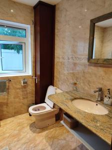 een badkamer met een toilet en een wastafel bij Artists house Family unit in Rivière Noire