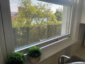 Gallery image of Right on the River! walking to town/artpark/docks in Lewiston