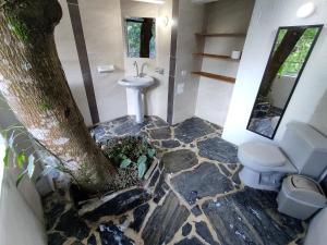 a bathroom with a tree and a sink and a toilet at Romeo y Julieta, cabaña privada en Minca in Minca