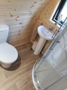 a bathroom with a toilet and a sink at Gateway Glamping in Farranfore