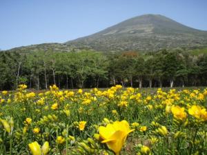 um campo de flores amarelas com uma montanha ao fundo em Forte "Hachijojima" - Vacation STAY 62479v em Hachijo