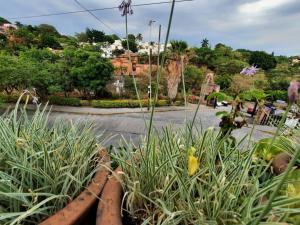 un montón de plantas al lado de una carretera en casa amueblada en cuernavaca Casa Luz, en Cuernavaca