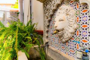 A garden outside Casa la Fontana - Hostatel