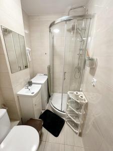 a bathroom with a shower and a toilet and a sink at Anielewicza 26 Rooms in Warsaw