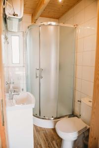 コパリノにあるDomki U Edziaのバスルーム(シャワー、トイレ、シンク付)