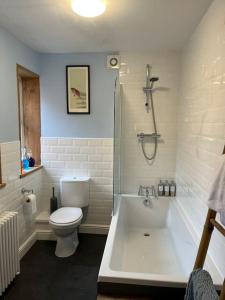 a bathroom with a toilet and a tub and a sink at Stunning Whitley Bay apartment in Whitley Bay