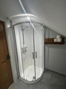 a shower with a glass enclosure in a bathroom at No.5 in Derry Londonderry