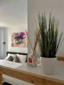 a bed with two potted plants on a table at RR House Apartments in Râşnov