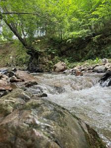 a stream of water with rocks and trees at Sochiner Hotel in Vanadzor