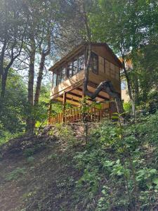 Zahrada ubytování Sochiner Hotel
