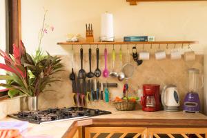 a kitchen counter with a stove and some utensils at Villa Toucan with National Geographic Views in Puerto Viejo