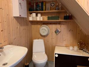 een kleine badkamer met een toilet en een wastafel bij Bestefarhuset in Hakkstabben