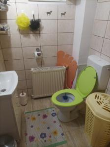 a bathroom with a green toilet and a sink at Apartament cu doua camere și grădină in Cluj-Napoca +104 photos