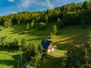 an aerial view of a small cabin in a green field at Domek w Górach in Wierchomla Wielka