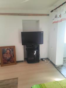 a flat screen tv sitting on a stand in a room at Tekija The Iron Gate in Tekija