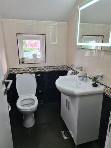 een badkamer met een wit toilet en een wastafel bij JS APARTMAN in Nikšić