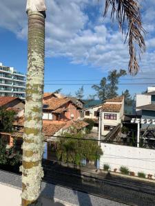 a palm tree in front of a city with buildings at Pousada Lazúli in Macaé