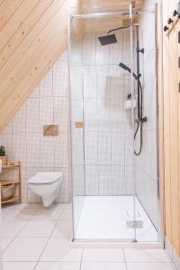 uma casa de banho com um chuveiro e um WC. em Stylowa Chata em Zakopane