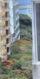 widok z okna miasta z budynkami i kwiatami w obiekcie The7penthouse w mieście Santa Cruz de Tenerife