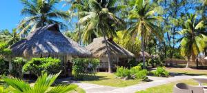 - un complexe avec 2 cabanes et des palmiers dans l'établissement Raira Lagon, à Avatoru