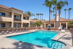 a swimming pool with chairs and palm trees at Courtyard Anaheim Buena Park in Buena Park