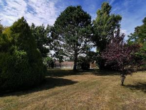 eine Gruppe von Bäumen in einem Hof mit einem Feld in der Unterkunft Maison avec piscine 12m * 6m in Civrac-en-Médoc