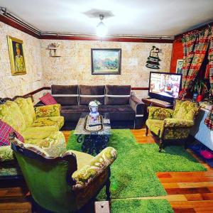 a living room with couches and a green rug at Villa Miris Dunja in Zlatibor