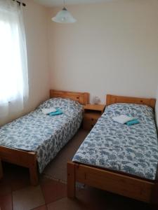 - 2 lits jumeaux dans une chambre avec fenêtre dans l'établissement Apartment Antonia, à Dobova